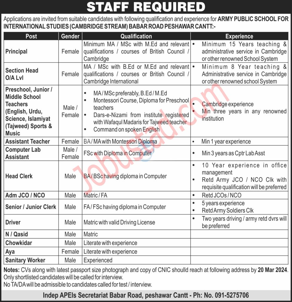 Latest Army Public School for International Studies Jobs in Peshawar