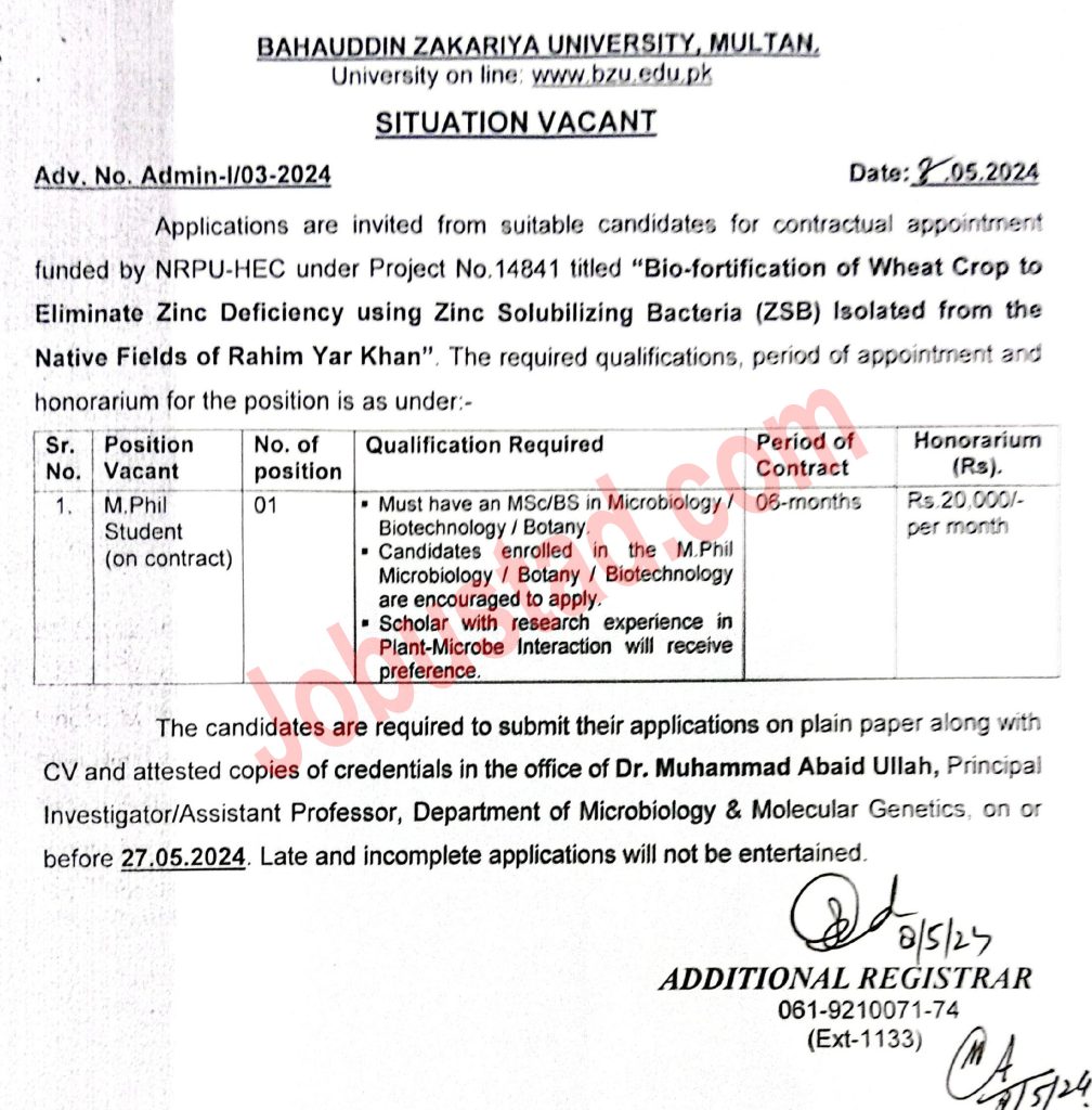 New Bahauddin Zakariya University BZU Jobs in Multan May 2024 