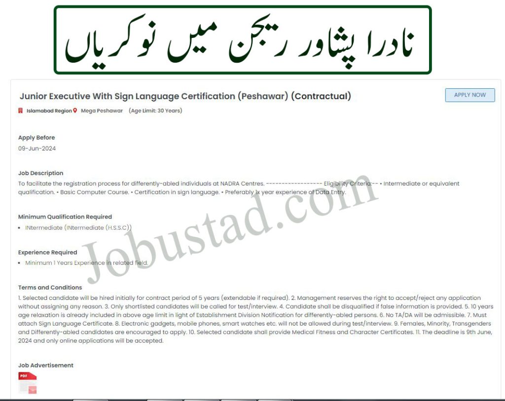 Junior Executive Jobs in Nadra Peshawar Region June 2024 