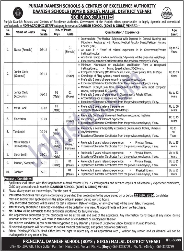 New Punjab Daanish School Jobs in Vehari July 2024
