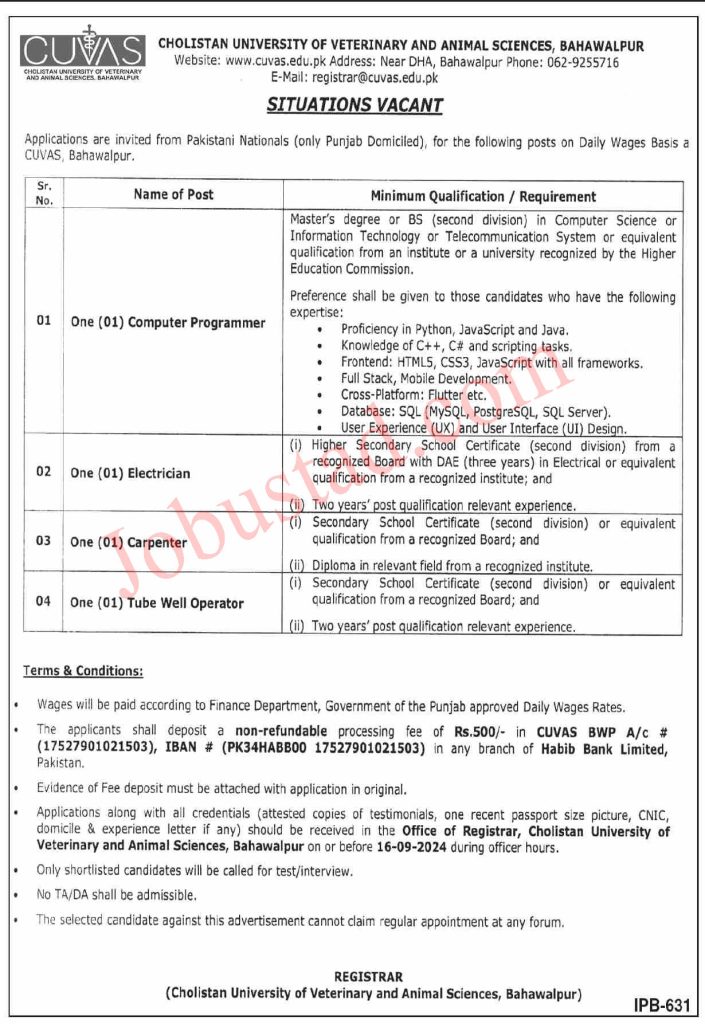 Cholistan University of Veterinary and Animal Sciences CUVAS Jobs in Bahawalpur September 2024