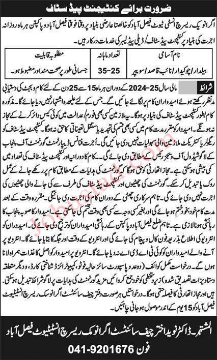 Latest Class 4 Jobs in Faisalabad September 2024