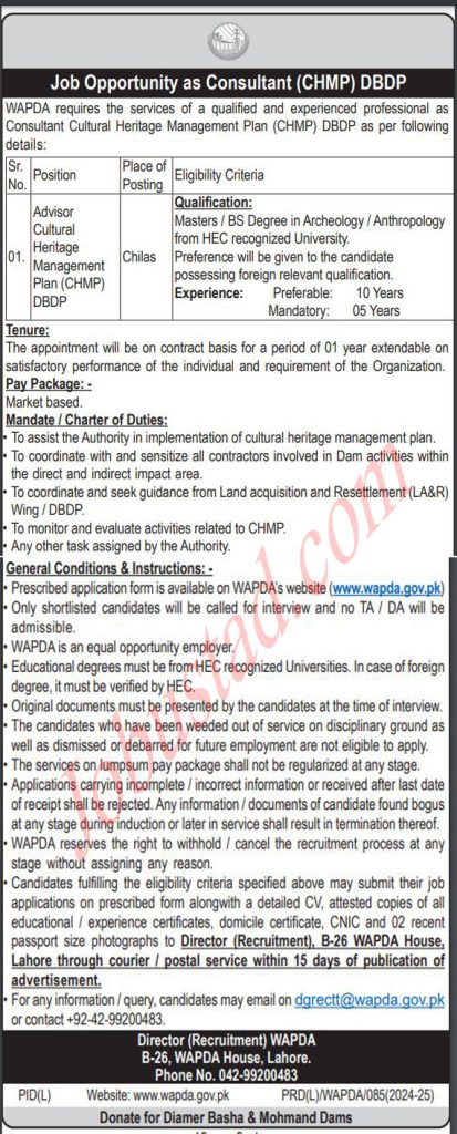New Wapda Jobs in Chilas September 2024 