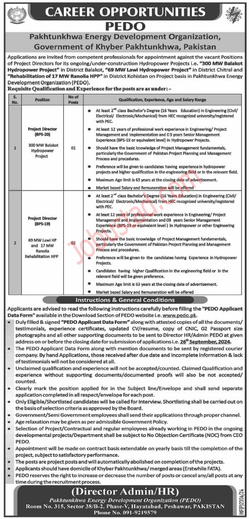 Pakhtunkhwa Energy Development Organization PEDO Jobs in Peshawar September 2024 