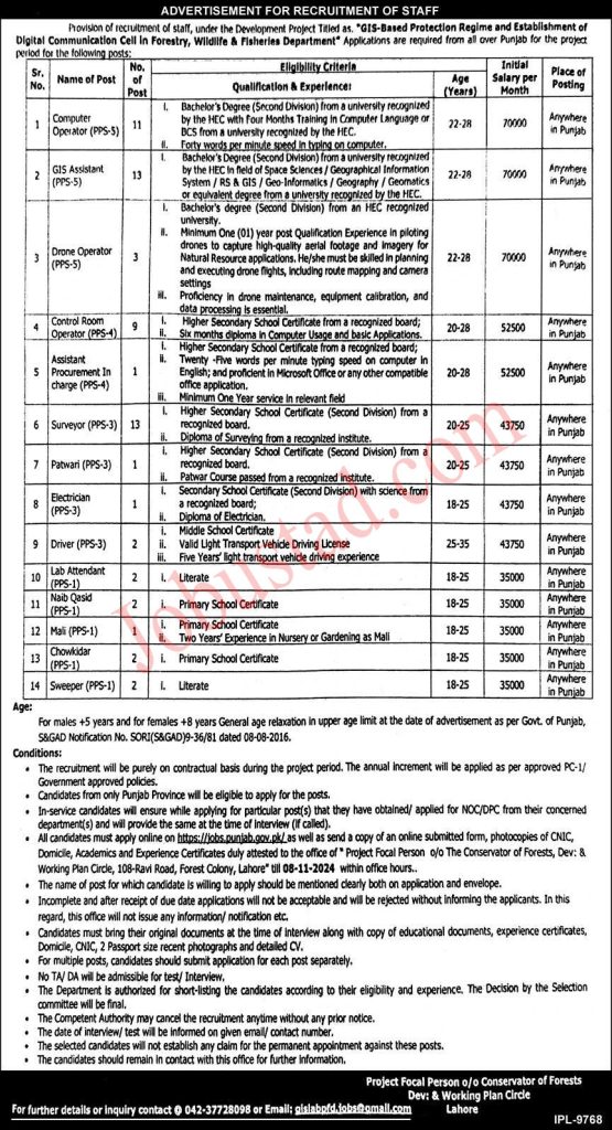 Wildlife and Fisheries Department Jobs in Punjab October 2024 