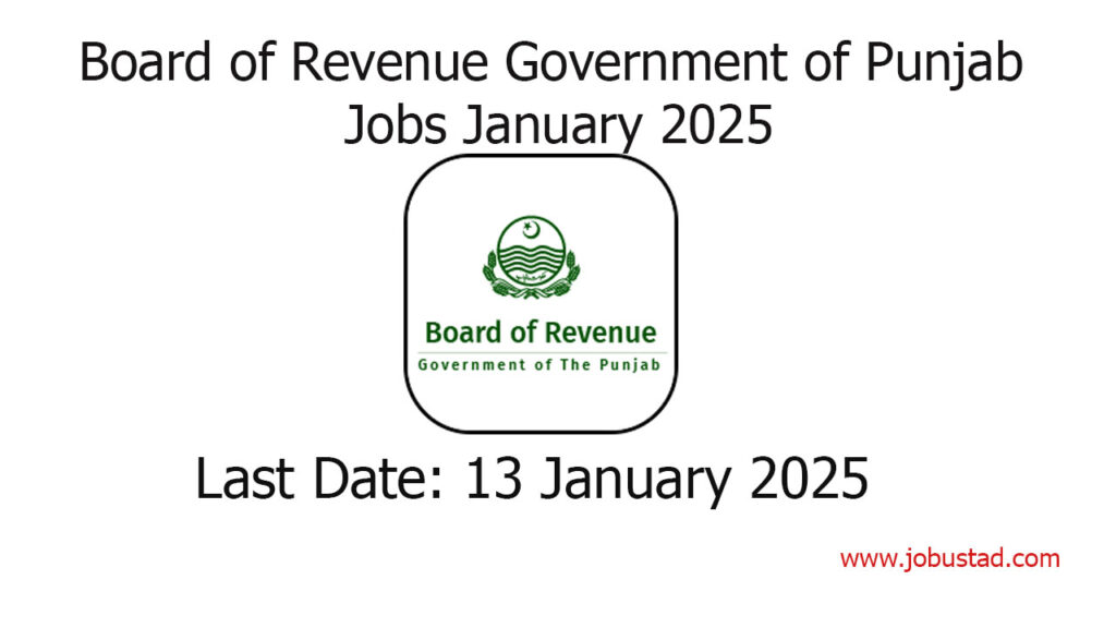 Board of Revenue Government of Punjab Jobs January 2025