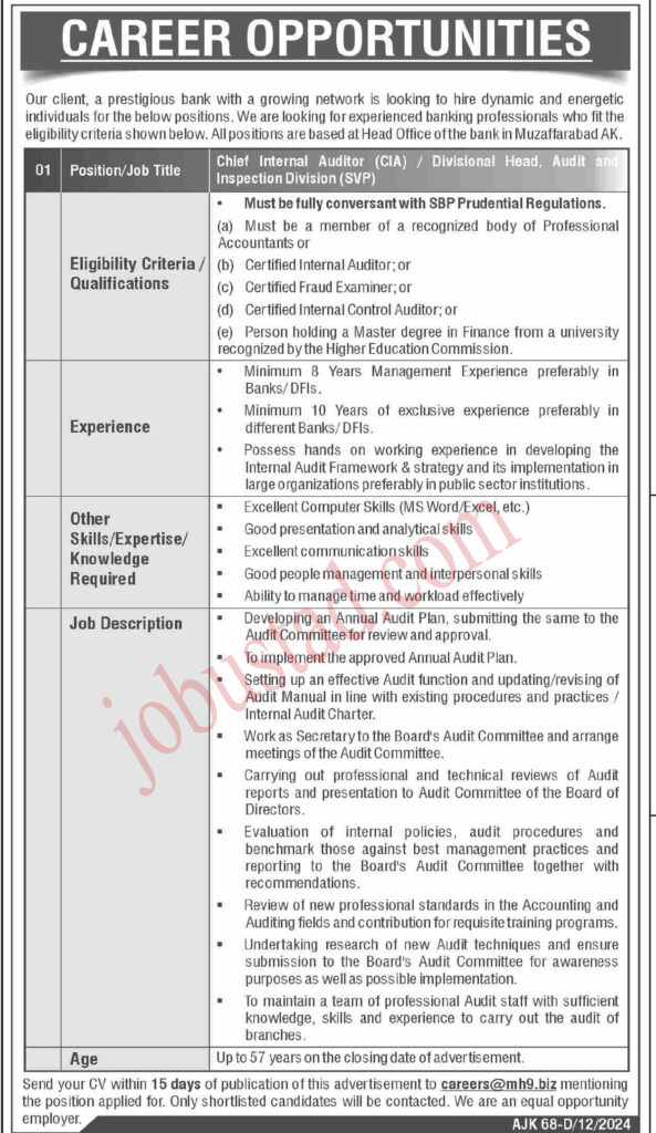 Chief Internal Auditor jobs in AJK January 2025