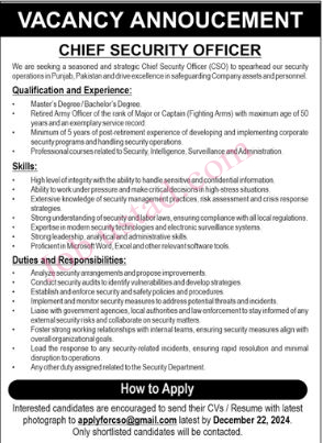 Chief Security Officer Jobs in Punjab December 2024
