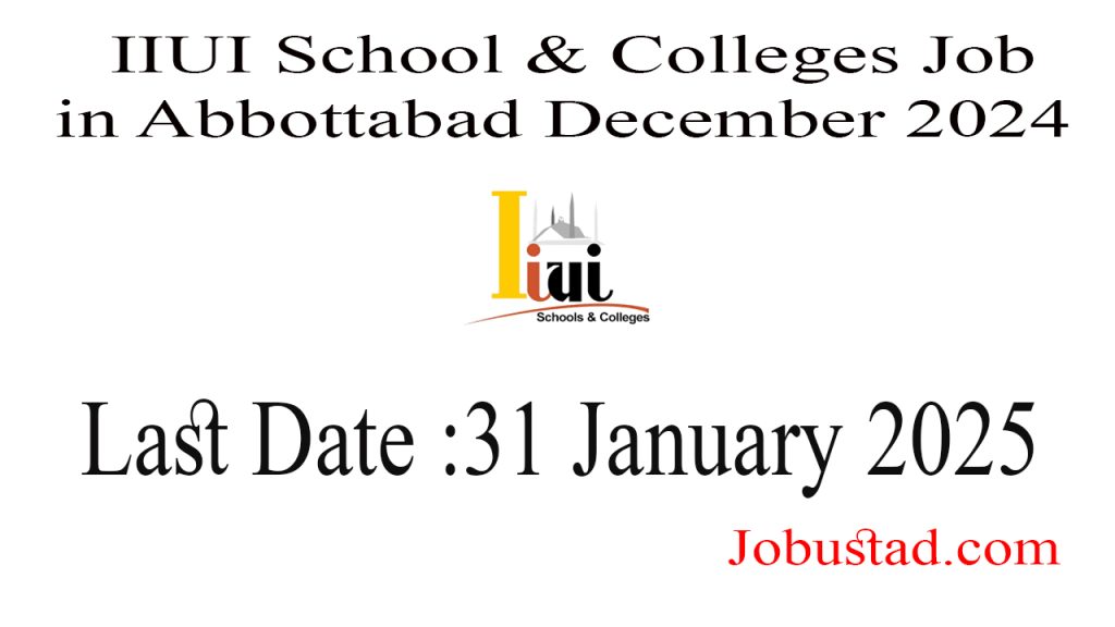 IIUI School & Colleges Job in Abbottabad December 2024