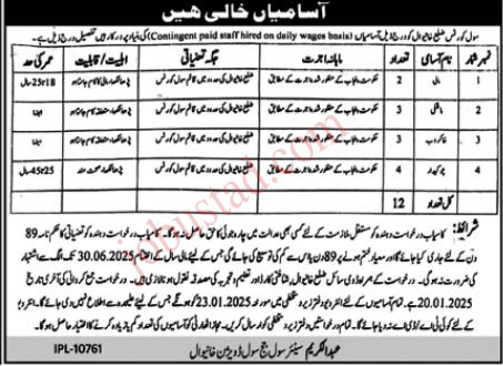 Latest Class Four Jobs in Khanewal January 2025
