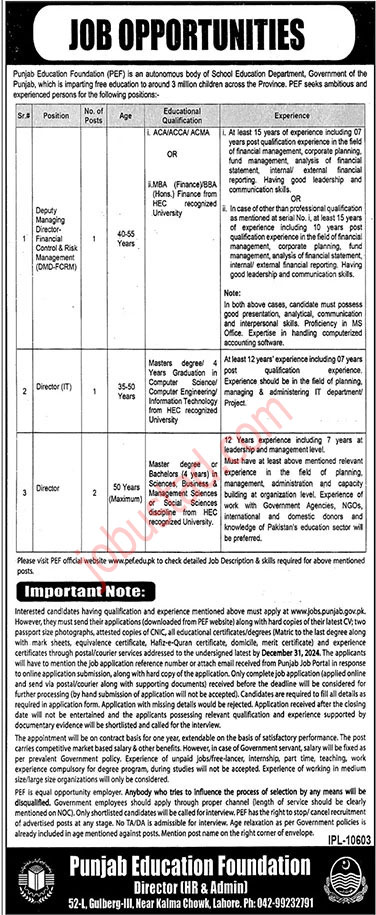 Latest Punjab Education Foundation Jobs in Lahore 2024