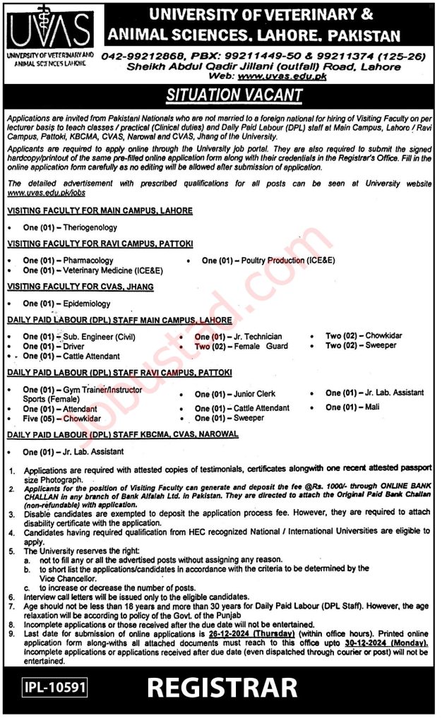 Latest UVAS Jobs in Lahore December 2024