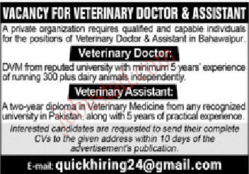 Private Organization Jobs in Bahawalpur January 2025