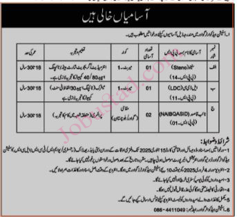 Stenographer Jobs In Gwadar December 2024