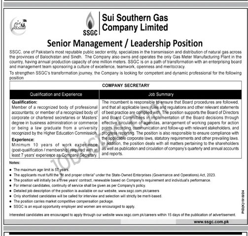 Sui Southern Gas Company Jobs in Pakistan January 2025