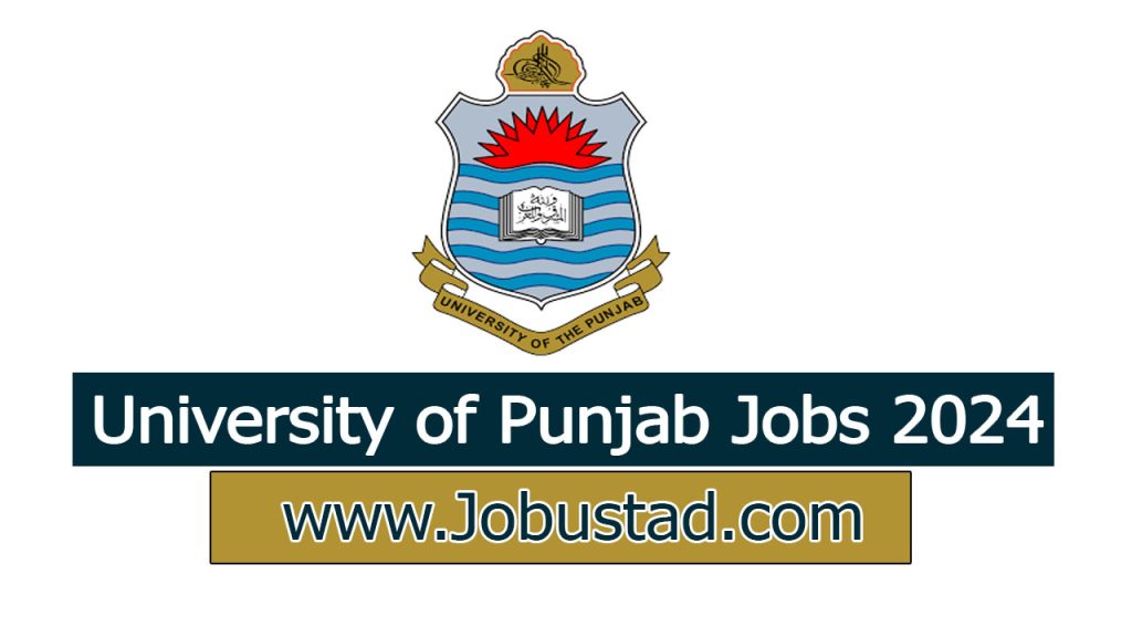 Today University of the Punjab PU Jobs in Lahore December 2024
