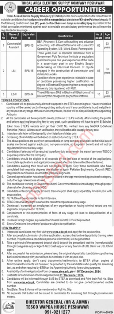 Tribal Areas Electric Supply Company TESCO Jobs in Peshawar 2024