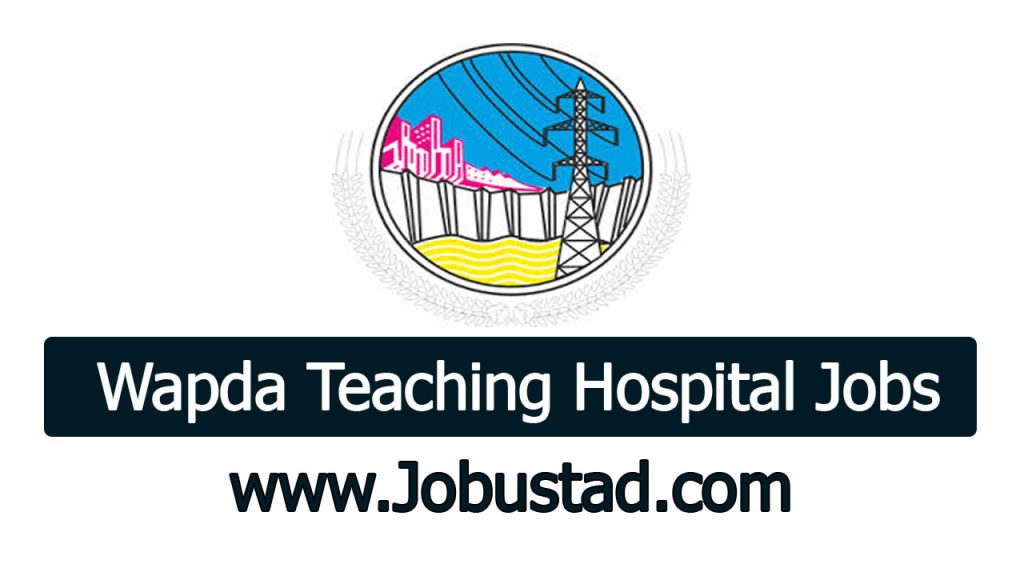 New Wapda Teaching Hospital Jobs in Lahore December 2024