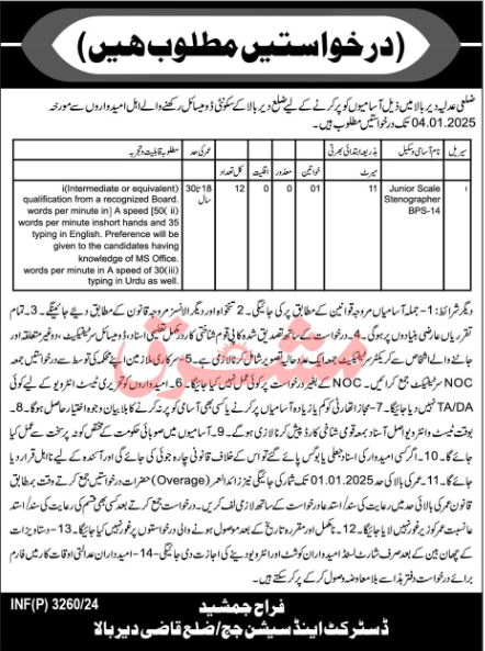 District Courts Dir Bala Jobs December 2024 