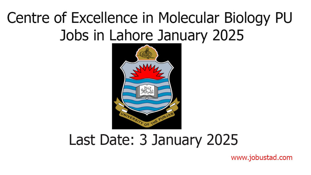 Centre of Excellence in Molecular Biology PU Jobs in Lahore January 2025
