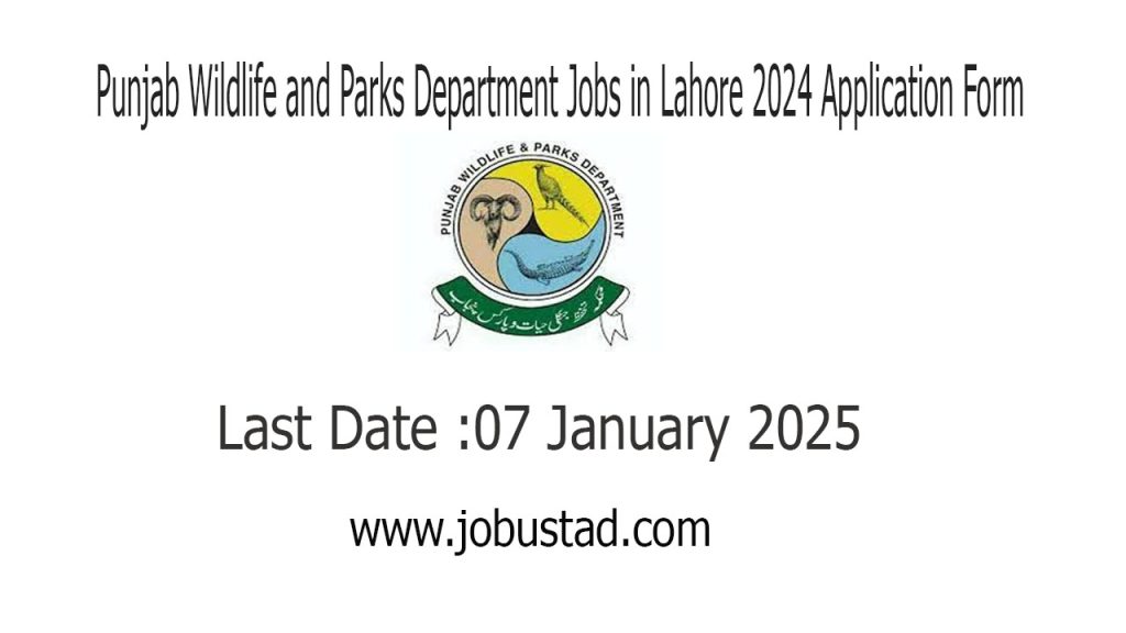 Punjab Wildlife and Parks Department Jobs in Lahore 2024 