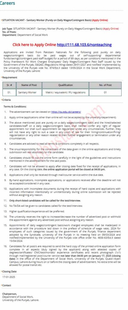 Department of Social Work PU Jobs in Lahore January 2025