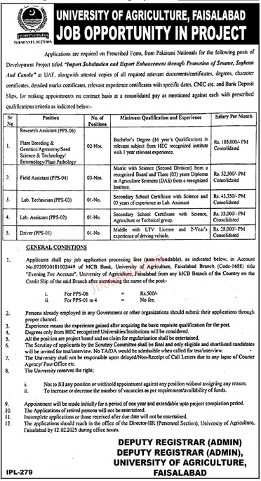 Latest University of Agriculture Jobs In Faisalabad January 2025 Advertisement