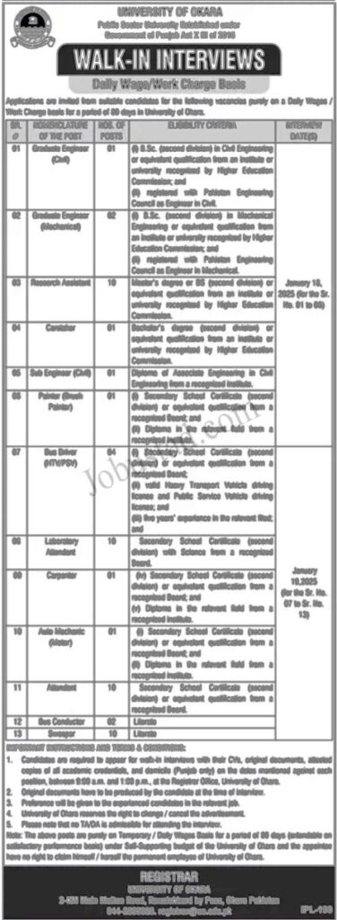 Latest University of Okara January 2025 Advertisement