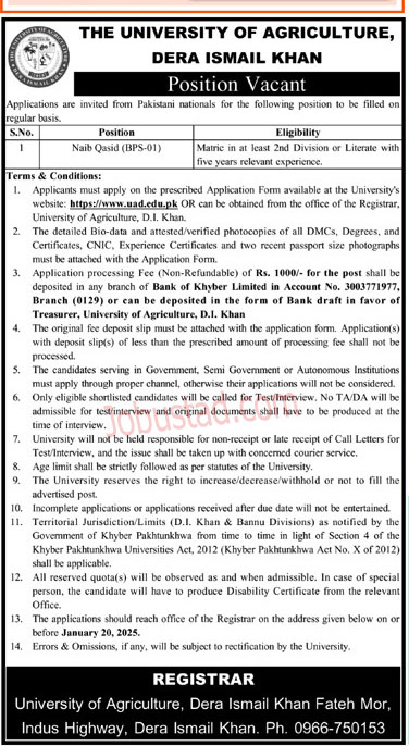 Naib Qasid Jobs In Dera Ismail Khan January 2025 Advertisement