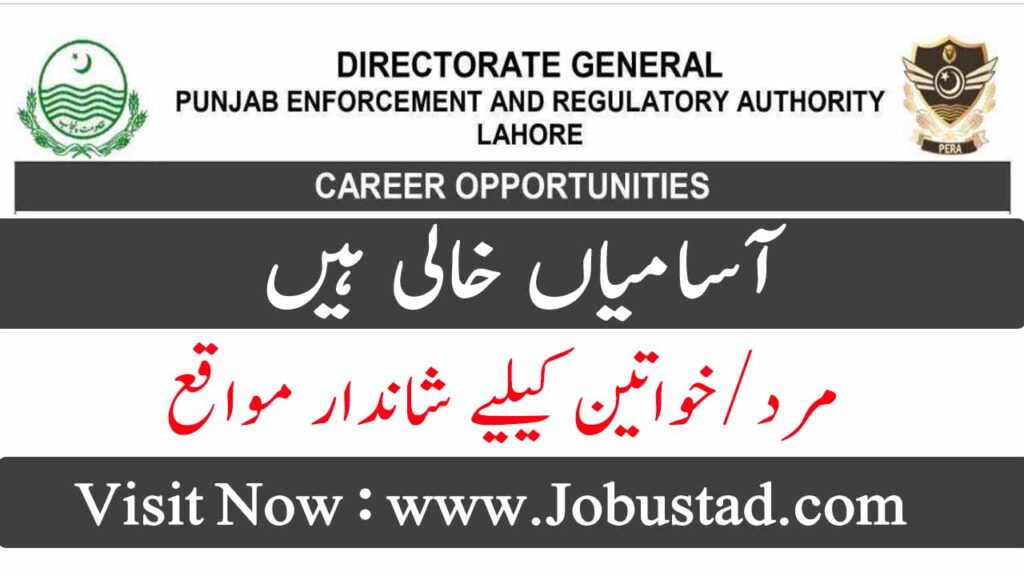 PERA Jobs in Punjab january 2025