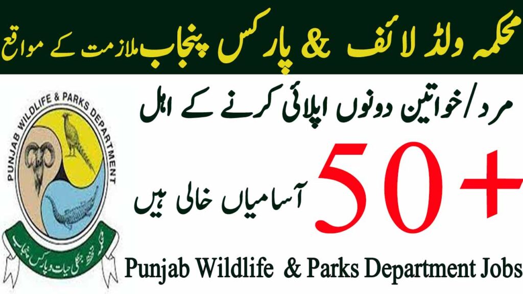 Govt of Punjab Wildlife & Parks Department Jobs january 2025