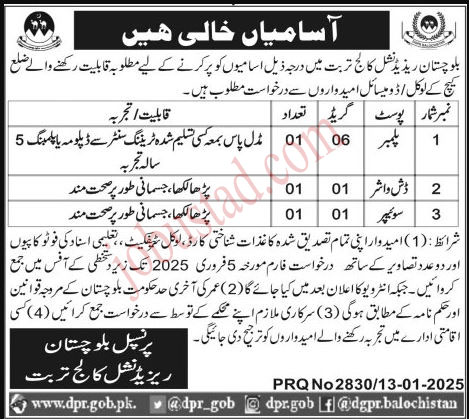 Residential College Jobs in Turbat January 2025