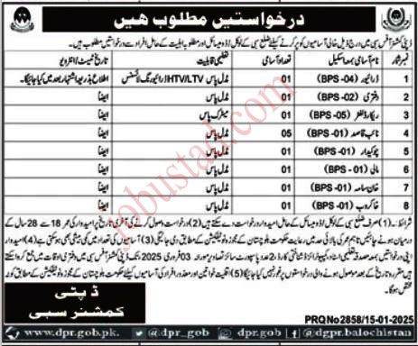 Today Class Four Jobs in Sibi January 2025