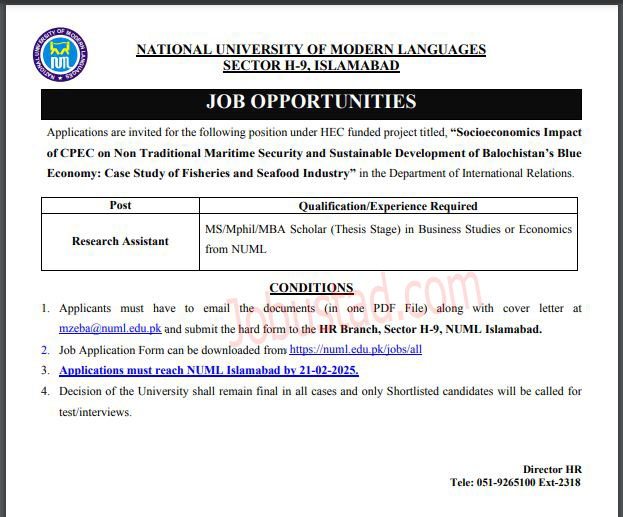 Jobs in National University of Modern Language February 2025