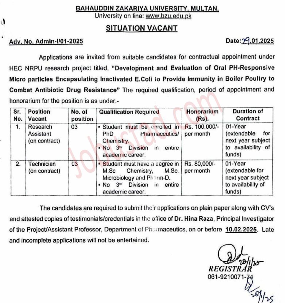 BZU Multan Jobs