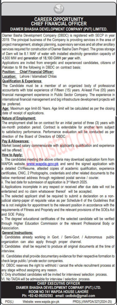 New Wapda Jobs in lahore February 2025