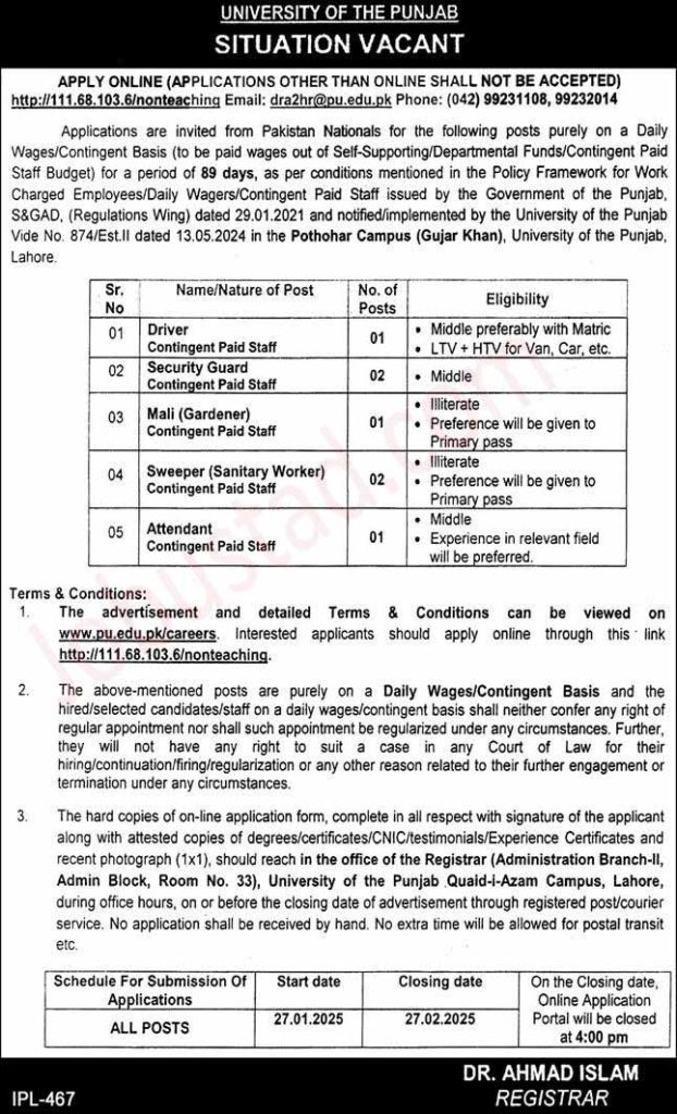 University of Punjab Jobs