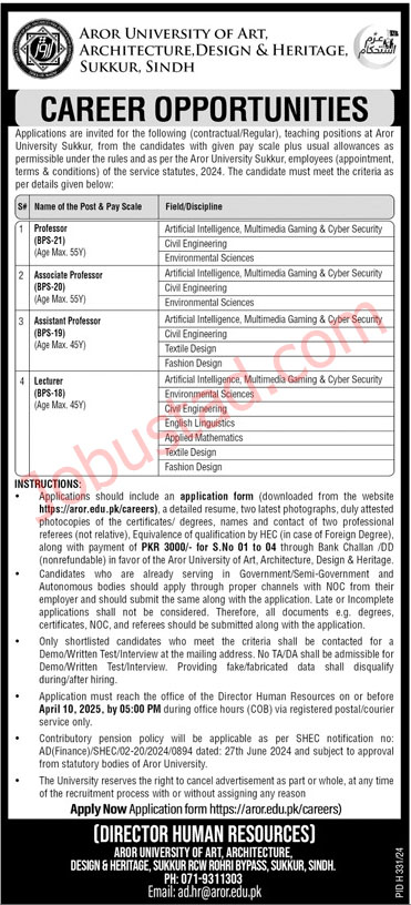Aror University of Art Jobs in Sindh March 2025 