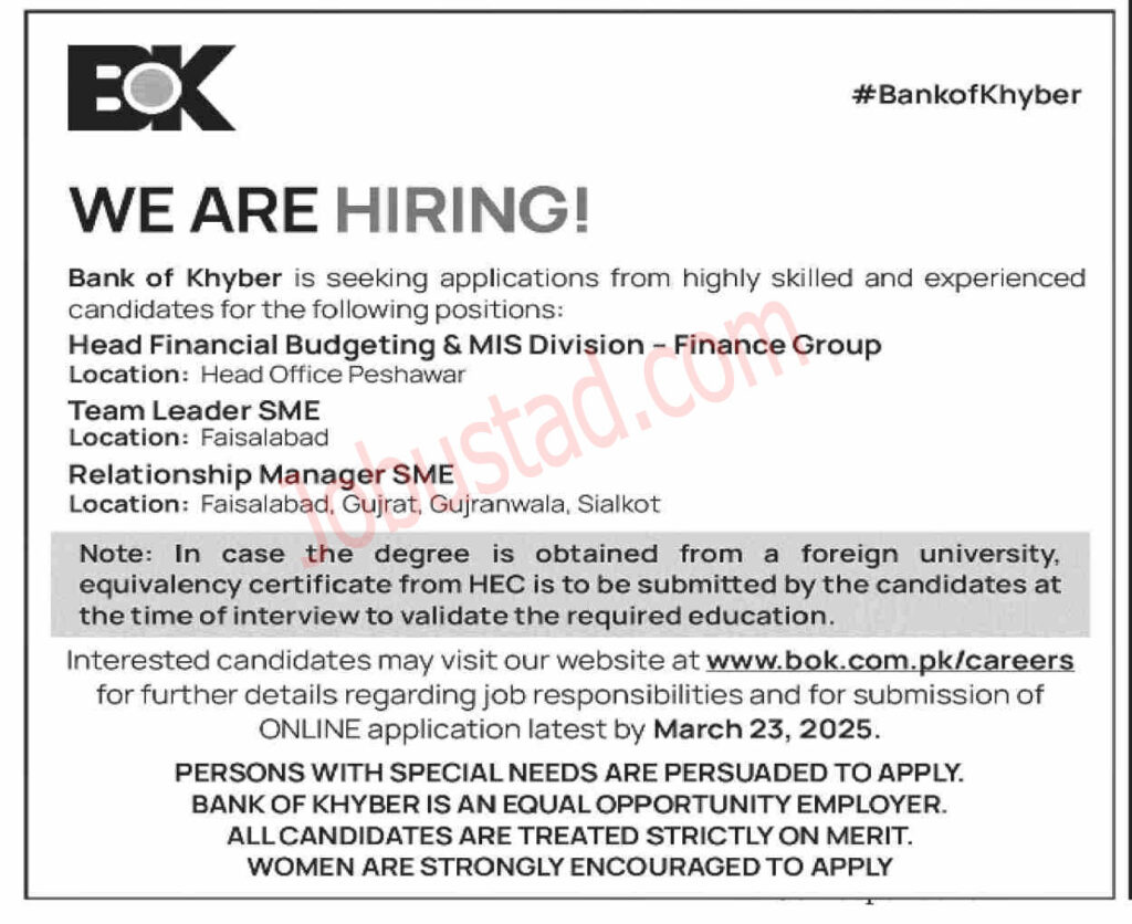 Bank of Khyber Jobs in Pakistan March 2025