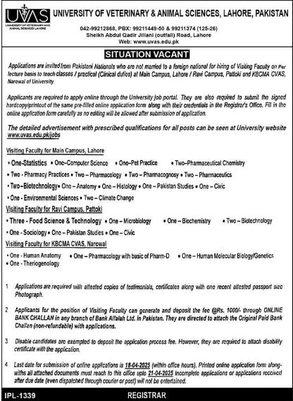 University of Veterinary and Animal Sciences UVAS jobs in Lahore April 2025