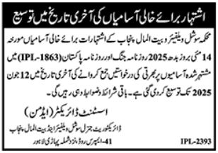 Social Welfare and Bait ul Maal Jobs in Punjab May 2025
